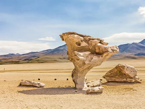 The Árbol de Piedra, a wind-carved rock