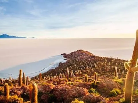 Giant cacti covering Incahuasi Island