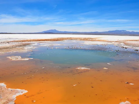 The ojos de sal, where water wells up through the salt crust